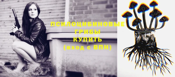 spice Баксан