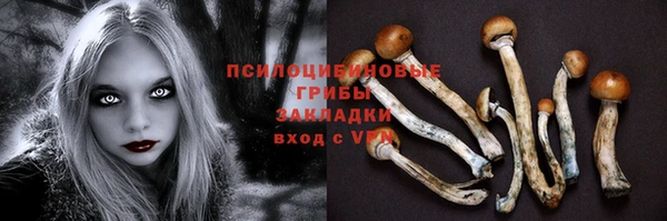мяу мяу мука Аркадак