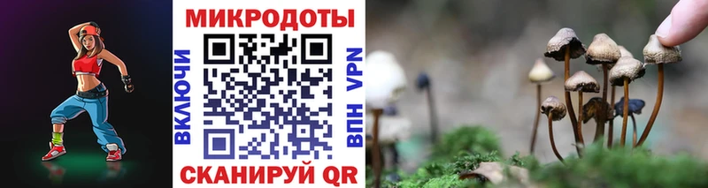 Псилоцибиновые грибы MAGIC MUSHROOMS  Бежецк 